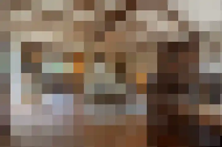Hoofdland 17 Mijnsheerenland thumbnail 13