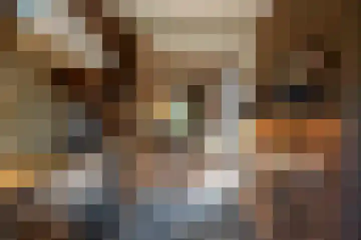 Hoofdland 17 Mijnsheerenland thumbnail 16