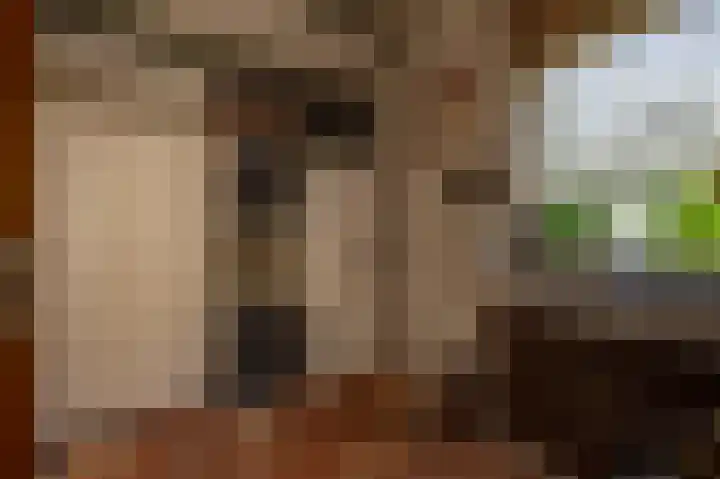 Hoofdland 17 Mijnsheerenland thumbnail 17