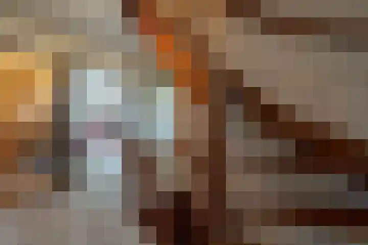 Hoofdland 17 Mijnsheerenland thumbnail 21