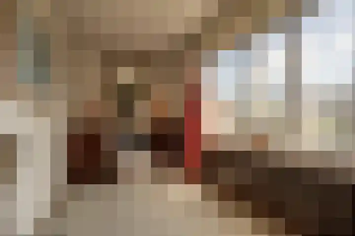 Hoofdland 17 Mijnsheerenland thumbnail 24