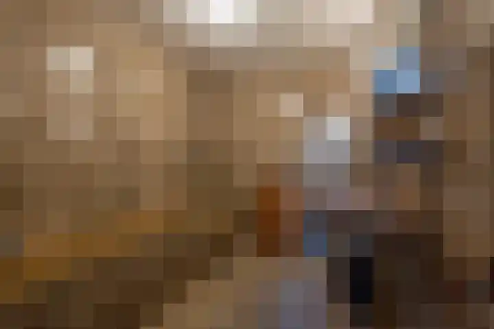 Hoofdland 17 Mijnsheerenland thumbnail 26