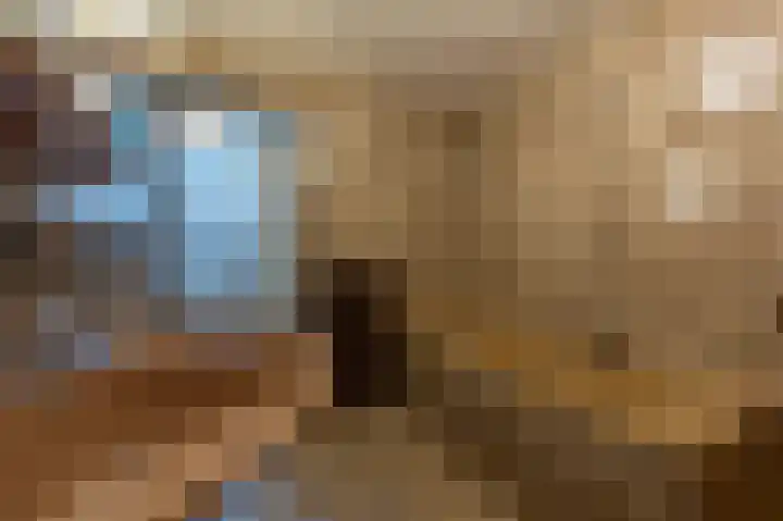 Hoofdland 17 Mijnsheerenland thumbnail 27