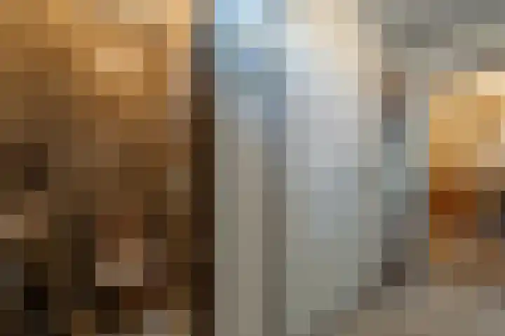 Hoofdland 17 Mijnsheerenland thumbnail 28