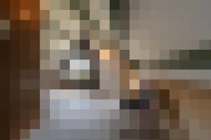 Hoofdland 17 Mijnsheerenland thumbnail 29