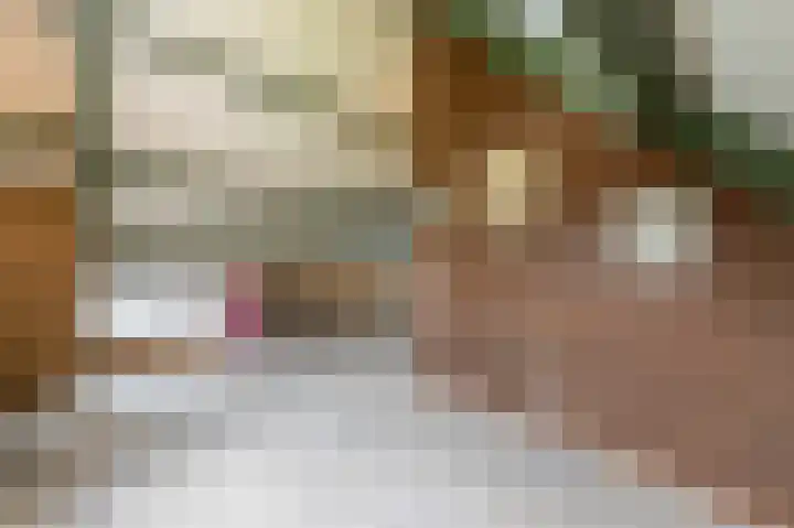 Hoofdland 17 Mijnsheerenland thumbnail 31