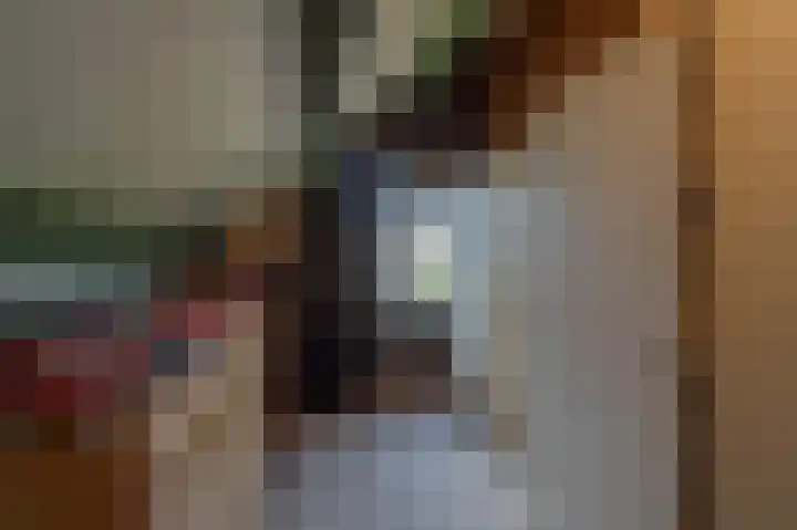 Hoofdland 17 Mijnsheerenland thumbnail 32