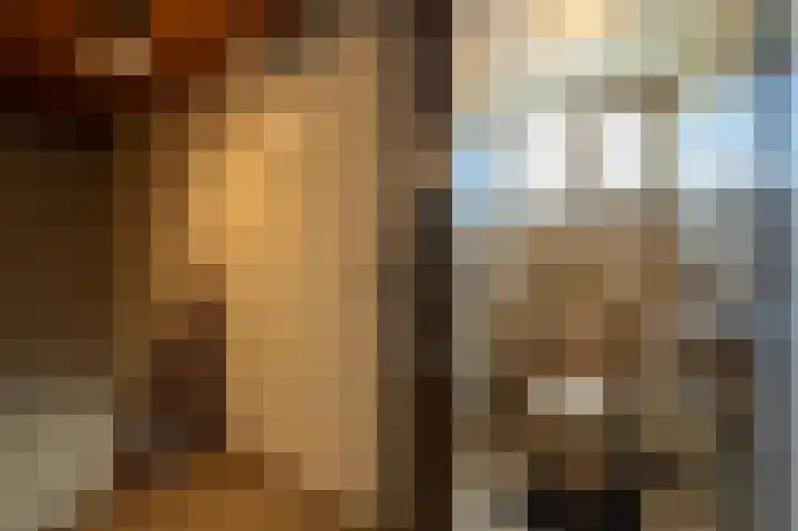 Hoofdland 17 Mijnsheerenland thumbnail 34