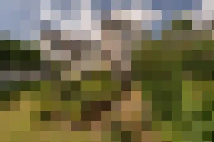 Hoofdland 17 Mijnsheerenland thumbnail 36