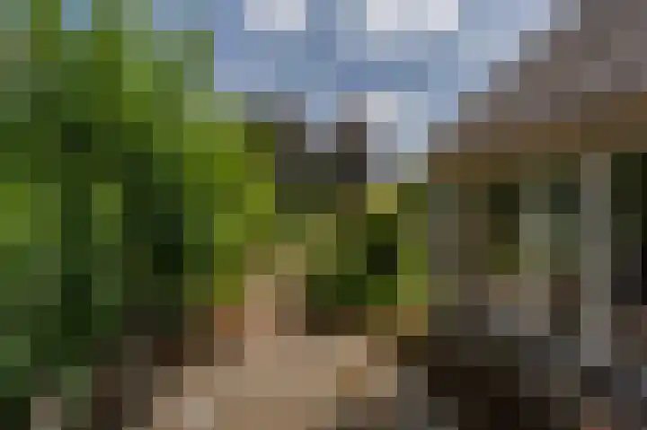 Hoofdland 17 Mijnsheerenland thumbnail 37