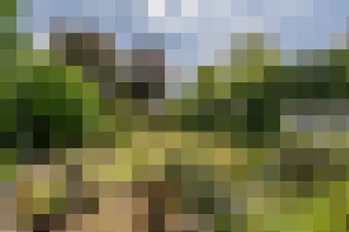 Hoofdland 17 Mijnsheerenland thumbnail 38