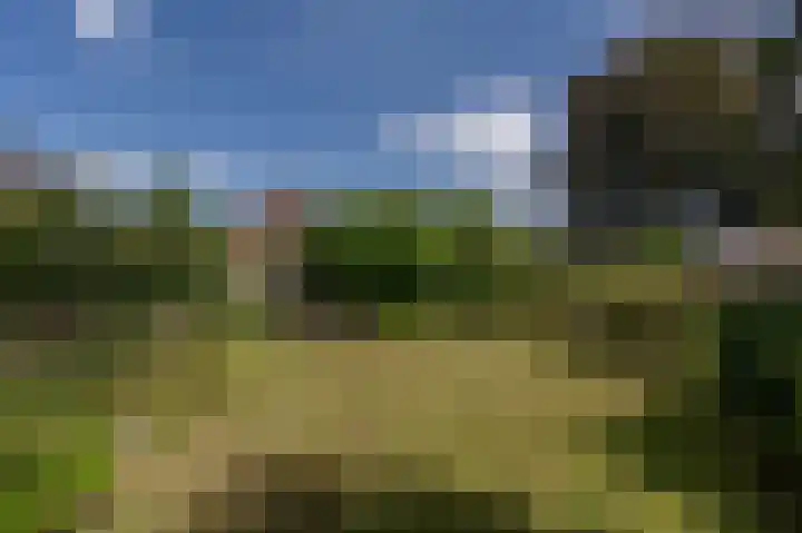 Hoofdland 17 Mijnsheerenland thumbnail 39