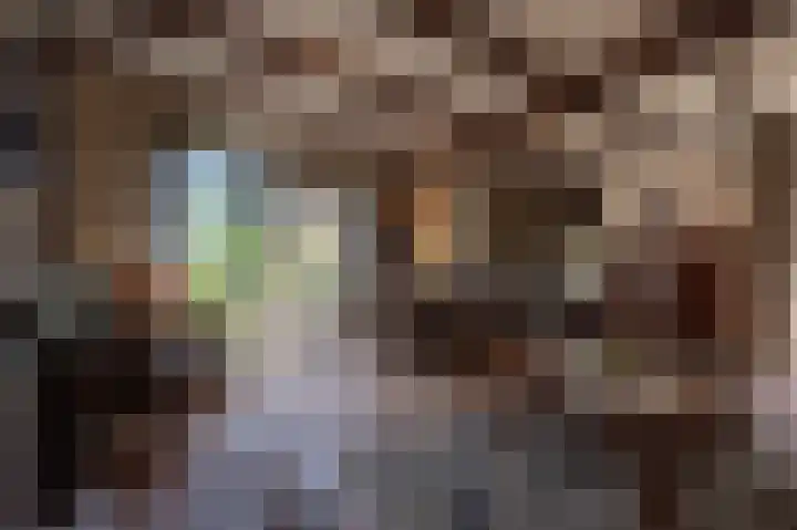 Hoofdland 17 Mijnsheerenland thumbnail 4