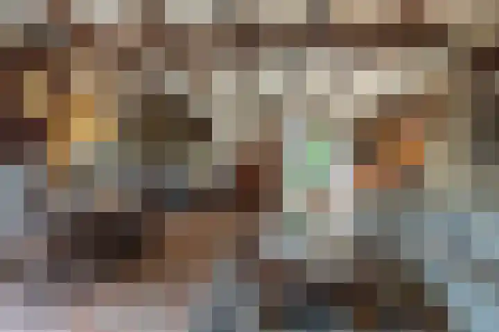 Hoofdland 17 Mijnsheerenland thumbnail 5