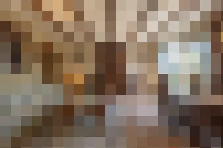 Hoofdland 17 Mijnsheerenland thumbnail 6