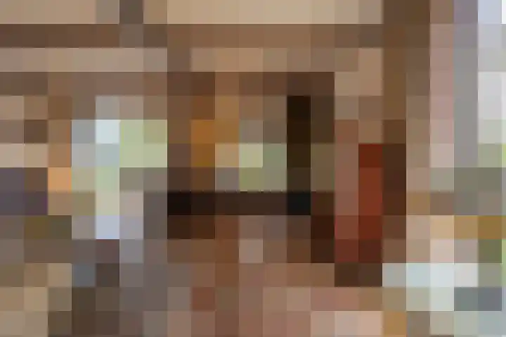 Hoofdland 17 Mijnsheerenland thumbnail 7