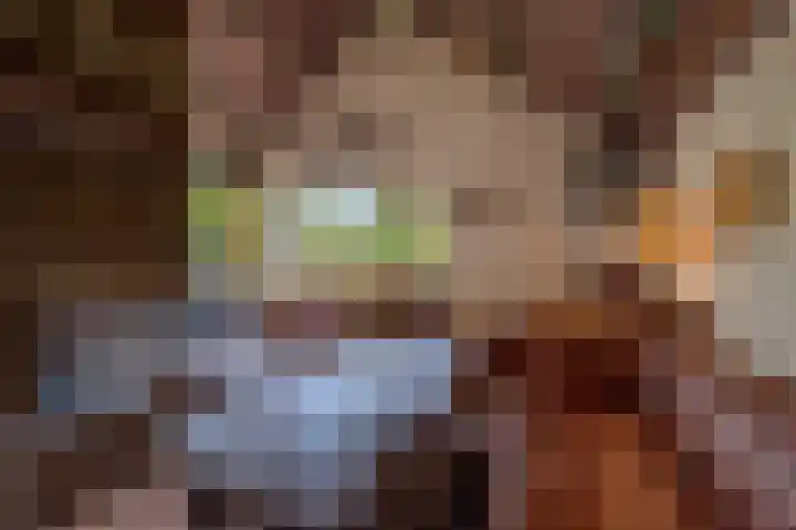 Hoofdland 17 Mijnsheerenland thumbnail 9
