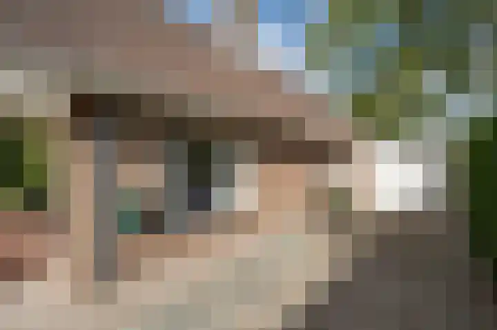 Hoofdland 46 Mijnsheerenland thumbnail 36