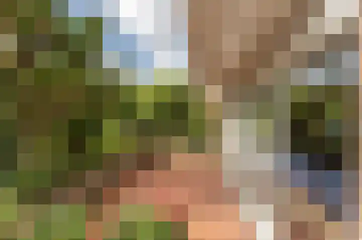 Hoofdland 46 Mijnsheerenland thumbnail 37