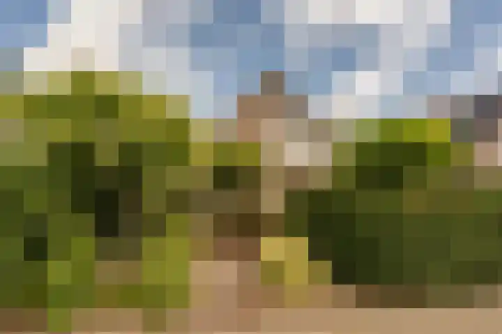 Hoofdland 46 Mijnsheerenland thumbnail 38
