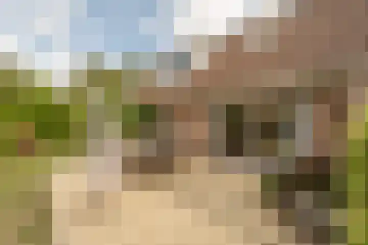 Hoofdland 46 Mijnsheerenland thumbnail 39