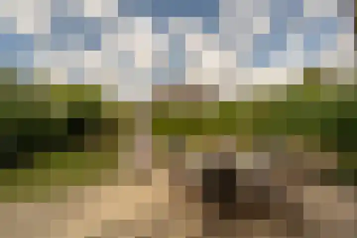 Hoofdland 46 Mijnsheerenland thumbnail 40
