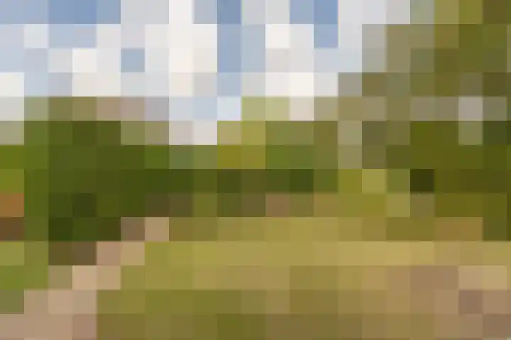 Hoofdland 46 Mijnsheerenland thumbnail 42