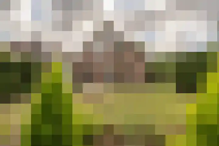 Hoofdland 46 Mijnsheerenland thumbnail 43