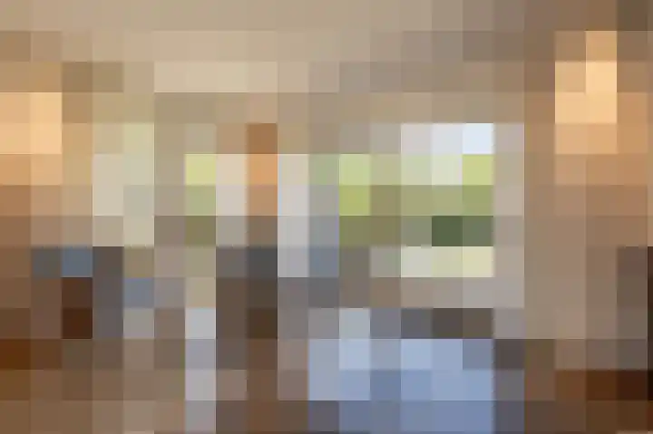Hoofdland 46 Mijnsheerenland thumbnail 8