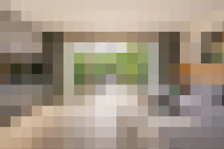 Hoofdland 7 Mijnsheerenland thumbnail 12