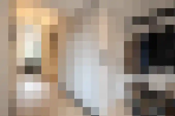 Hoofdland 7 Mijnsheerenland thumbnail 13