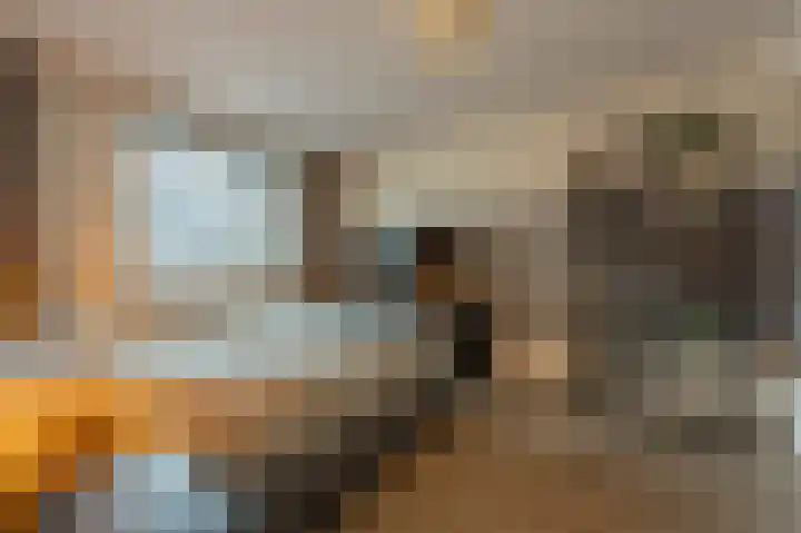 Hoofdland 7 Mijnsheerenland thumbnail 14