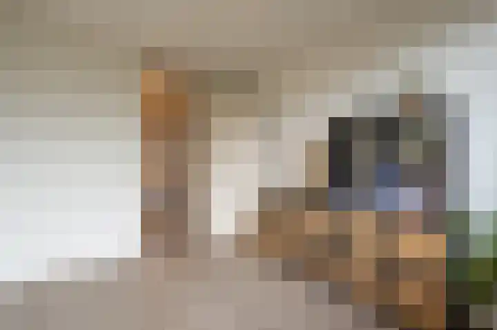 Hoofdland 7 Mijnsheerenland thumbnail 19