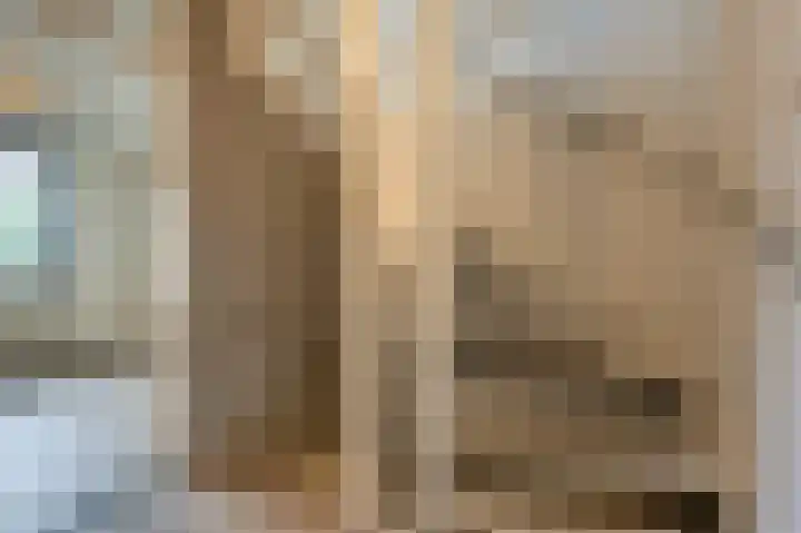 Hoofdland 7 Mijnsheerenland thumbnail 22