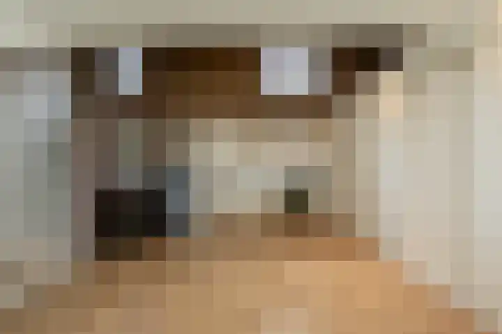 Hoofdland 7 Mijnsheerenland thumbnail 24