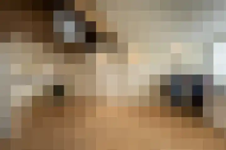 Hoofdland 7 Mijnsheerenland thumbnail 25