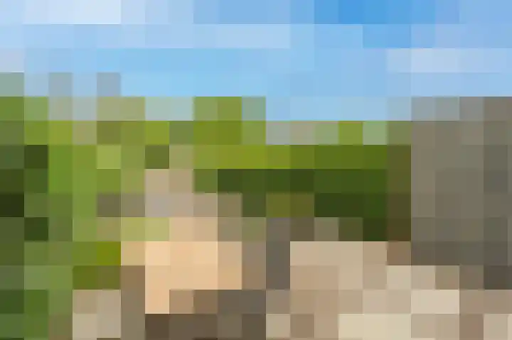 Hoofdland 7 Mijnsheerenland thumbnail 26
