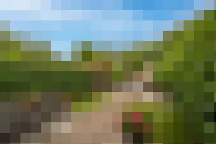 Hoofdland 7 Mijnsheerenland thumbnail 27