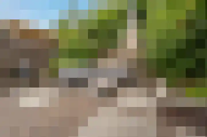 Hoofdland 7 Mijnsheerenland thumbnail 28