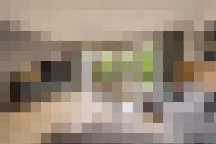 Hoofdland 7 Mijnsheerenland thumbnail 4