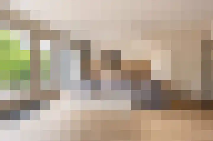 Hoofdland 7 Mijnsheerenland thumbnail 5