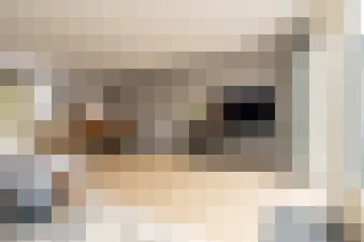 Hoofdland 7 Mijnsheerenland thumbnail 7