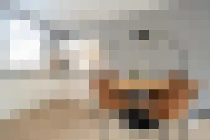 Hoofdland 7 Mijnsheerenland thumbnail 9