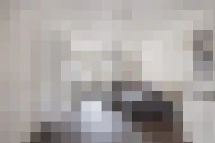 Hoofdlandseweg 39 Ouddorp thumbnail 6