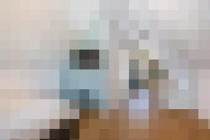 Hoofdman 5 Heeze thumbnail 39