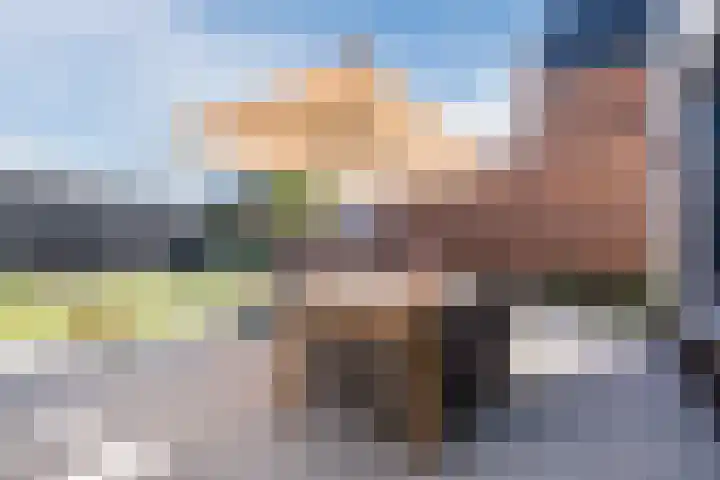 Hoofdman 5 Heeze thumbnail 40