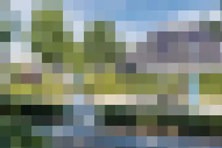 Hoofdman 5 Heeze thumbnail 47