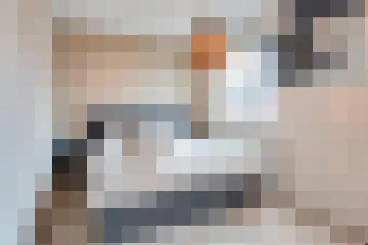 Hoofdmanstraat 15 Zeeland thumbnail 13