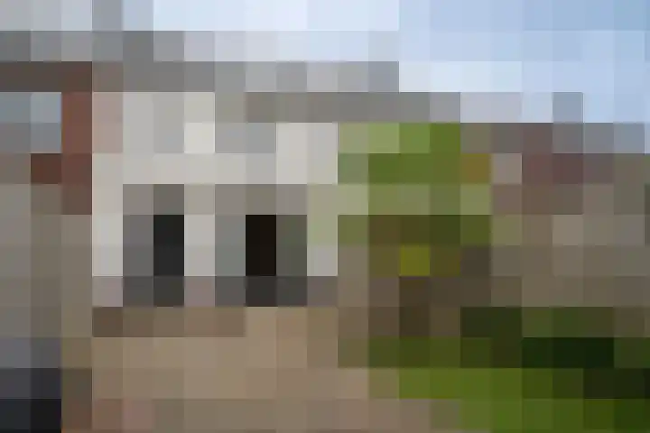 Hoofdmanstraat 15 Zeeland thumbnail 20