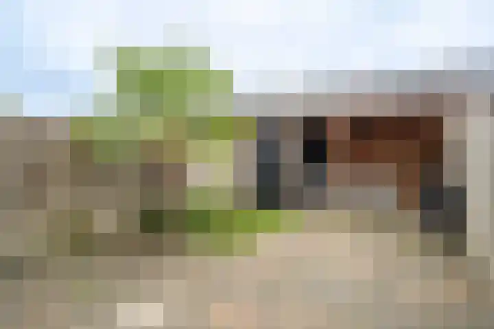 Hoofdmanstraat 15 Zeeland thumbnail 21